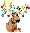 reindeer