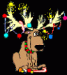 reindeer