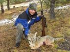 son and whiley coyote meet