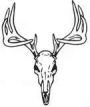 Stag Skull