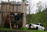 Airsoft AshBash 2012-2366