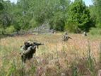 Genuine Caleb Crye multicam kit in a dry field/light foliage environment