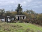 VikingAirsoft_RogueAegis_Nov2023