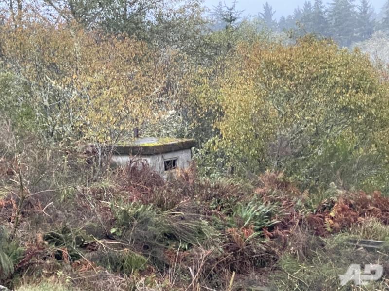VikingAirsoft_RogueAegis_Nov2023