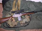 TM M14