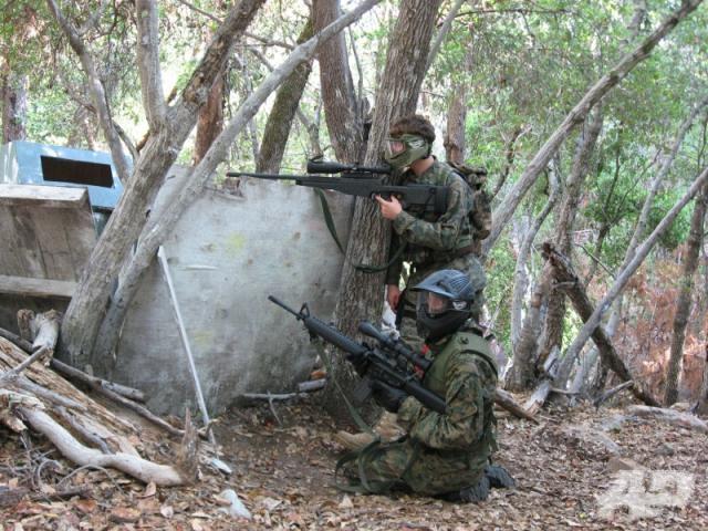 Sequoia airsoft