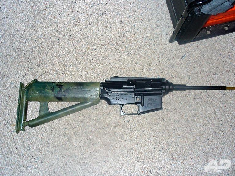 Stock and gun body