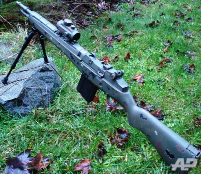 "MjÃ¶llnir" CA M14 Scout