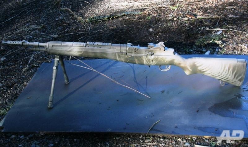 "MjÃ¶llnir" CA M14 Scout