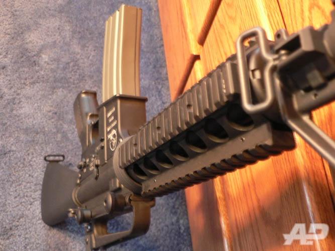 My gun