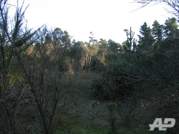Wasteland Pic 3