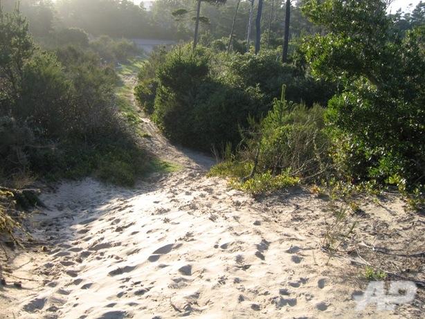 Wasteland Pic 4