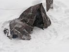 Snow shelter