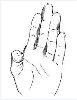 Knife Hand - AP