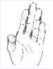 Knife Hand - AP