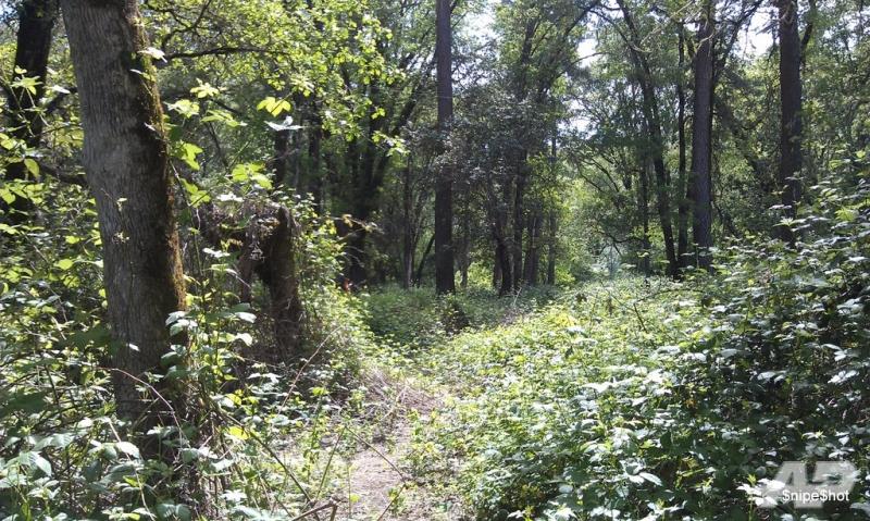 Gold Hill Airsoft